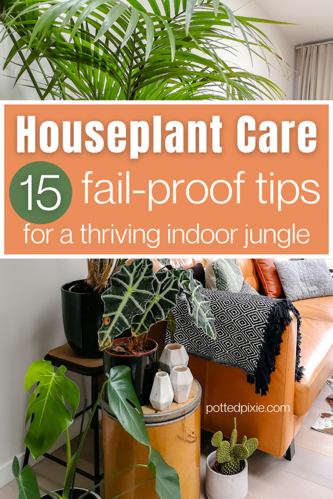 Indoor Plant Care for Beginners: 15 Fail-Proof Tips for Success