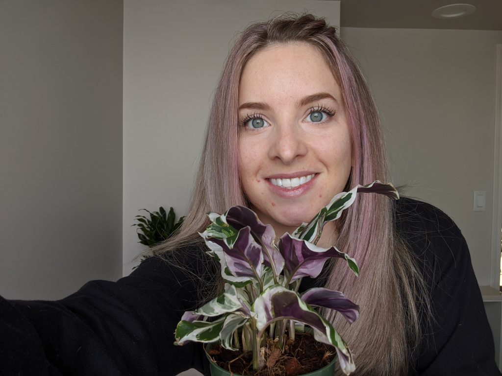 woman with purple hair holds up a small plant with white, green and lavender leaves